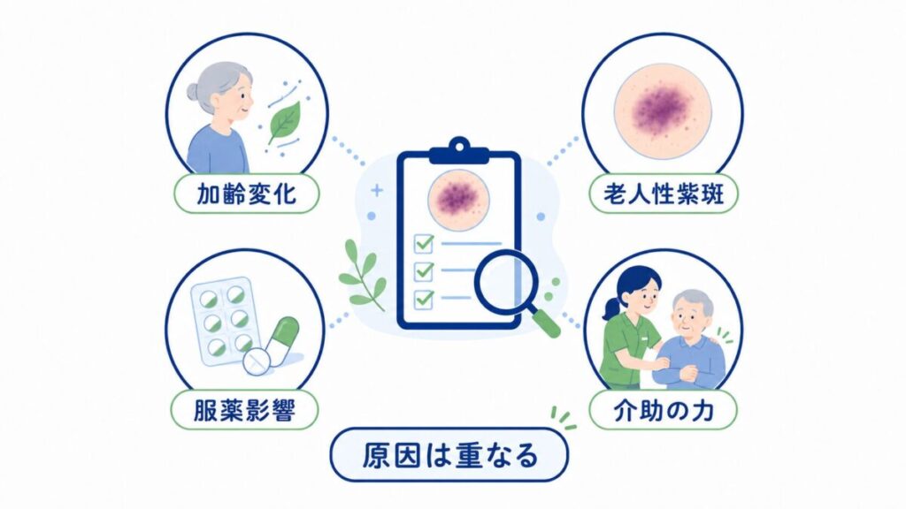 高齢者の皮下出血について、加齢変化、老人性紫斑、服薬の影響、介助時の力が重なって生じる可能性を整理した図。