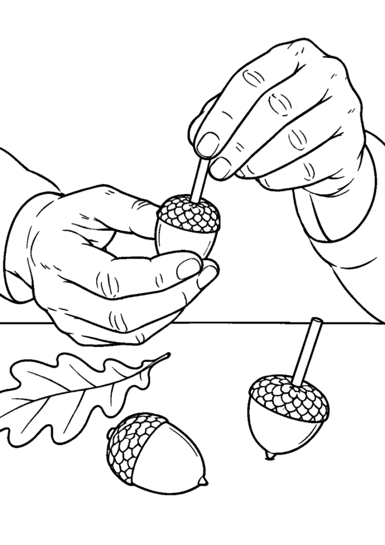 大きなどんぐりに軸を付け独楽を作る手元高齢者向けの白黒塗り絵