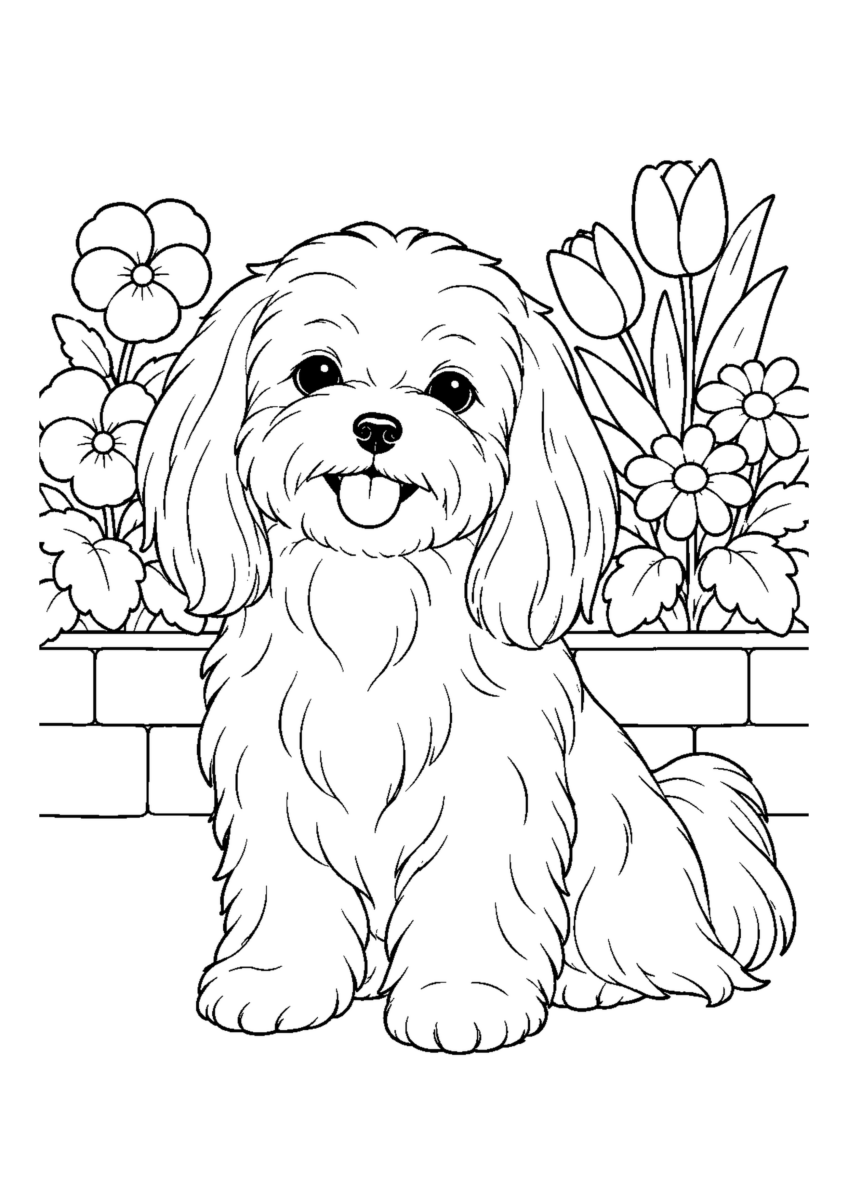 マルチーズと花壇の前を大きく描いた高齢者向けの白黒塗り絵