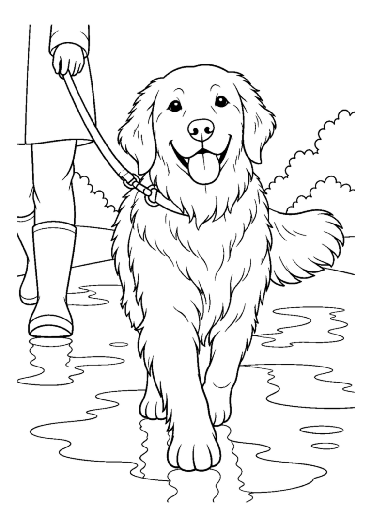 雨上がりの犬の散歩を大きく描いた高齢者向けの白黒塗り絵
