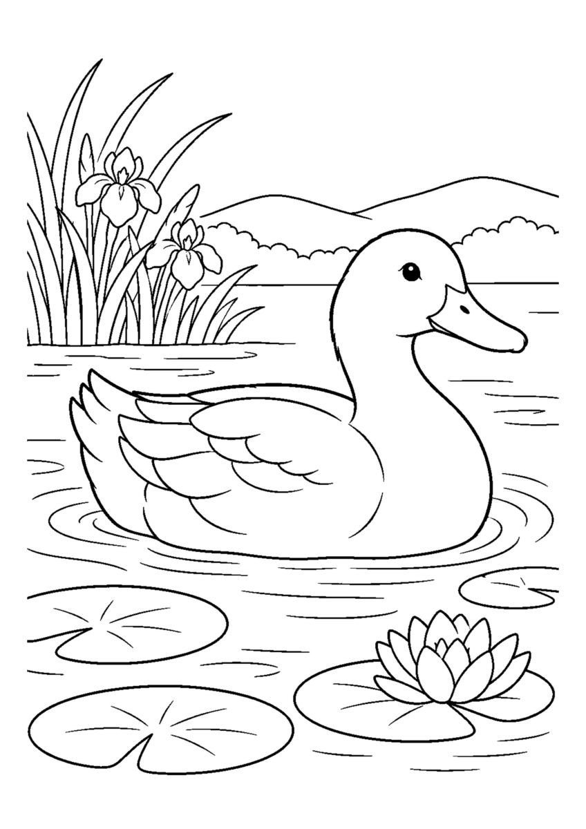 池を泳ぐあひるを大きく描いた高齢者向けの白黒塗り絵