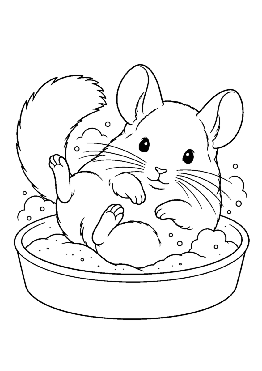 チンチラの砂浴びを大きく描いた高齢者向けの白黒塗り絵