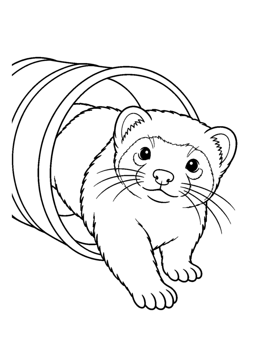 トンネルをくぐるフェレットを大きく描いた高齢者向けの白黒塗り絵