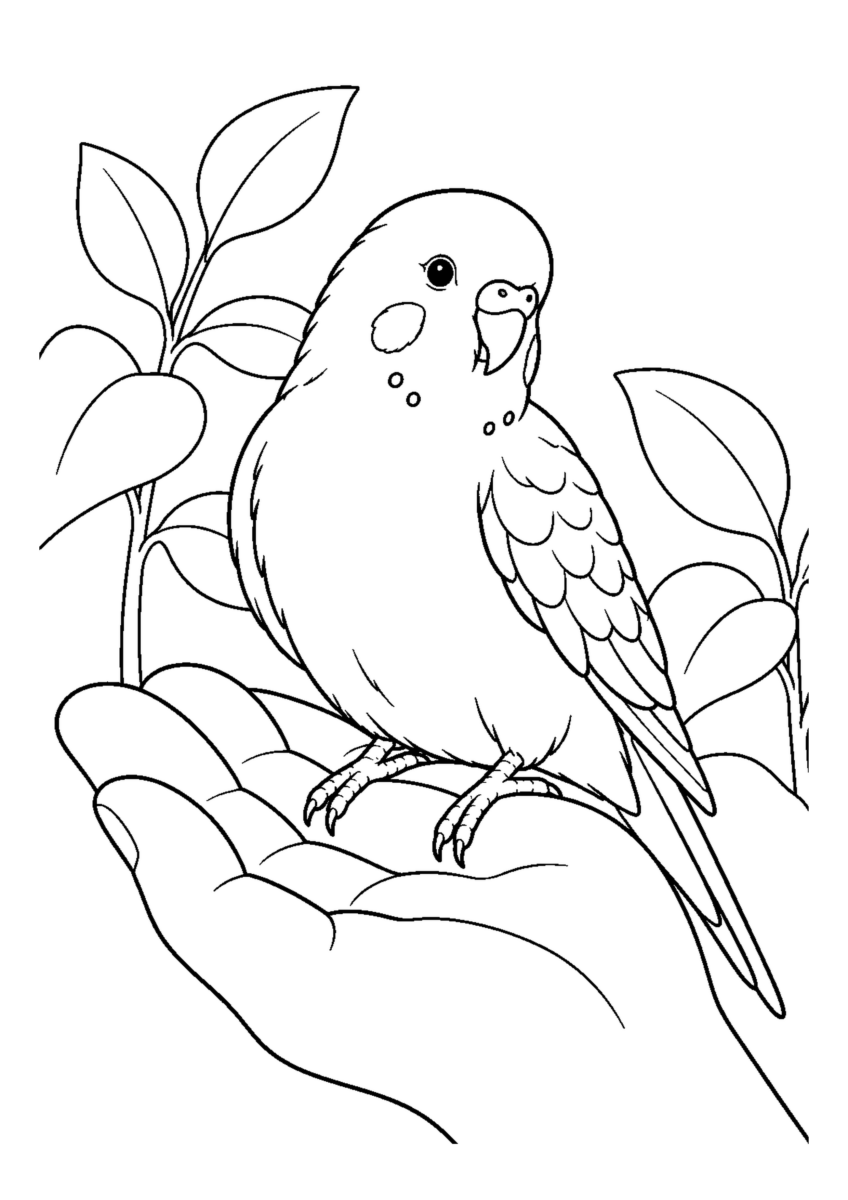 手のひらに乗るセキセイインコを大きく描いた高齢者向けの白黒塗り絵