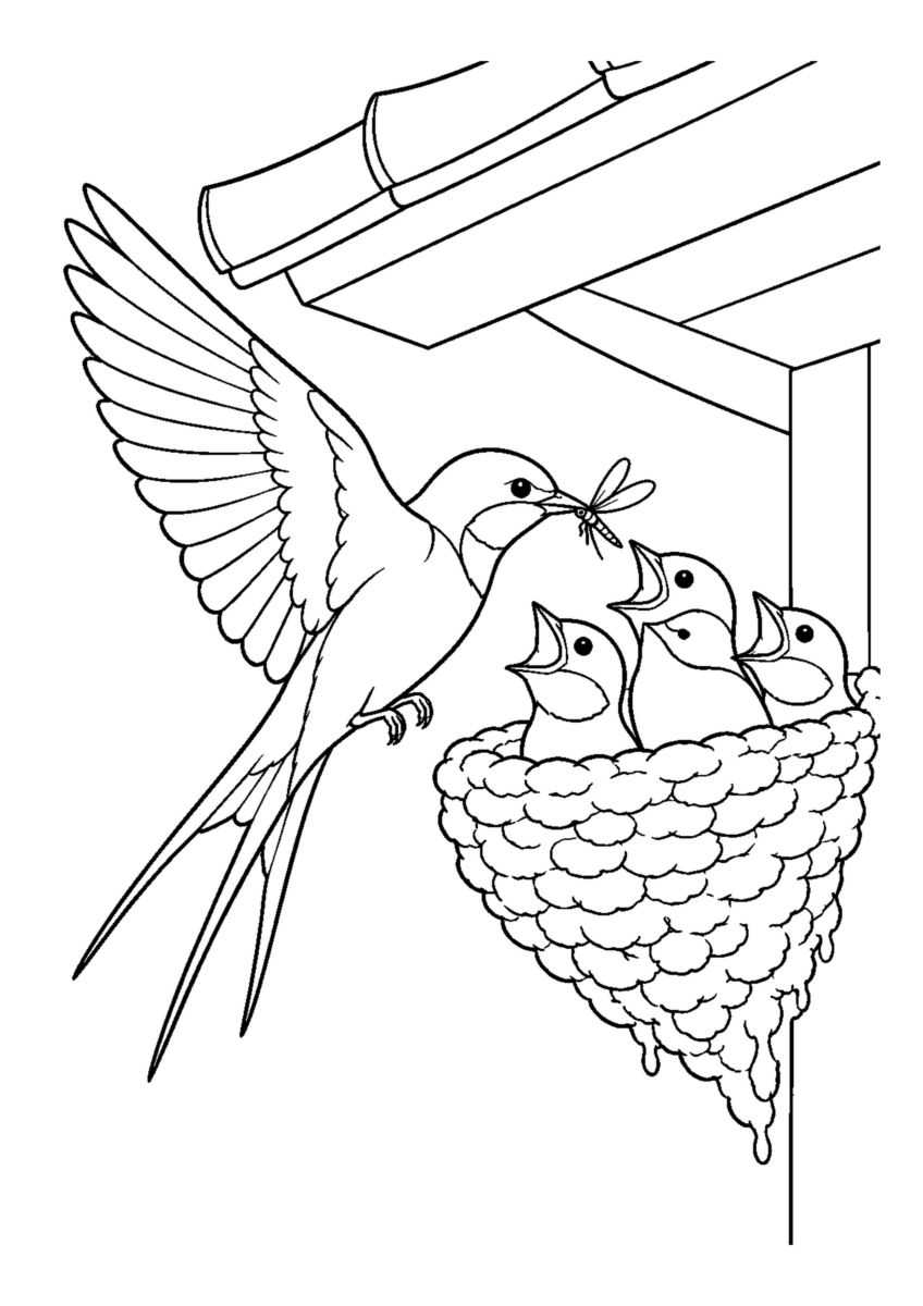 軒下のつばめの巣を大きく描いた高齢者向けの白黒塗り絵