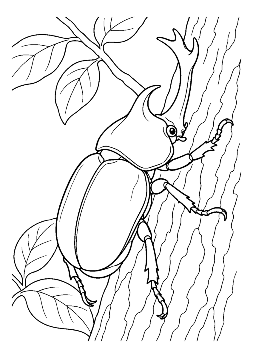 木にとまるかぶとむしを大きく描いた高齢者向けの白黒塗り絵