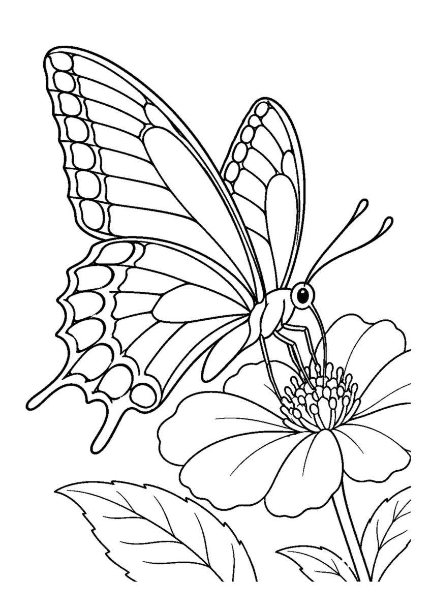 花にとまるあげは蝶を大きく描いた高齢者向けの白黒塗り絵