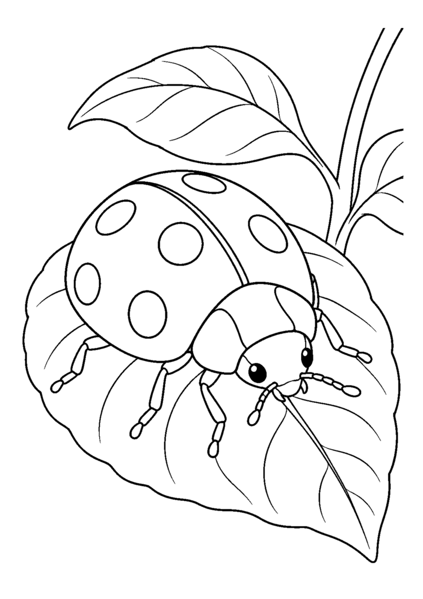 葉の上のてんとう虫を大きく描いた高齢者向けの白黒塗り絵