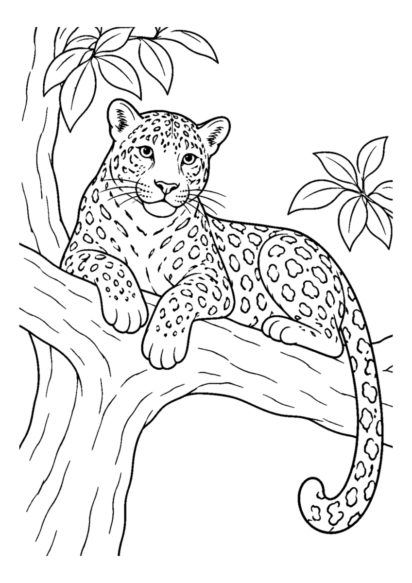 木の上のひょうを大きく描いた高齢者向けの白黒塗り絵