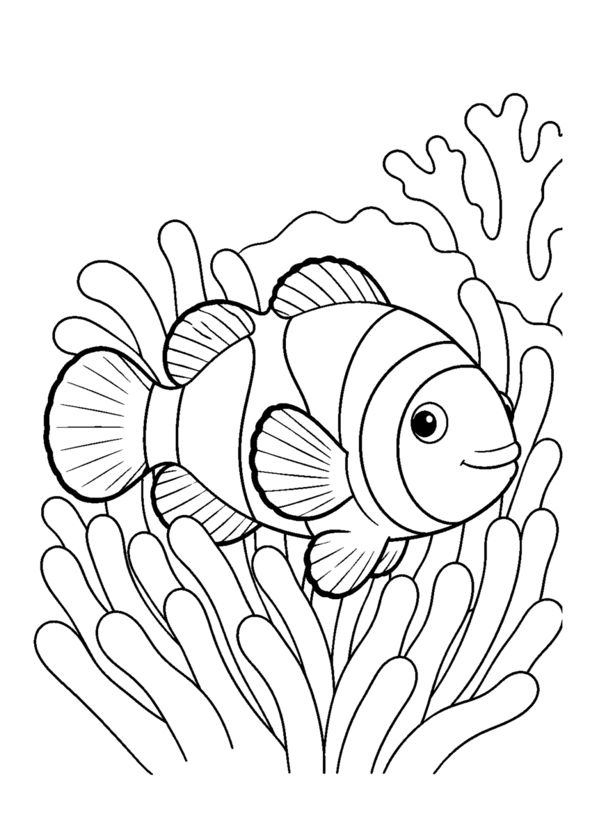珊瑚礁のくまのみを大きく描いた高齢者向けの白黒塗り絵