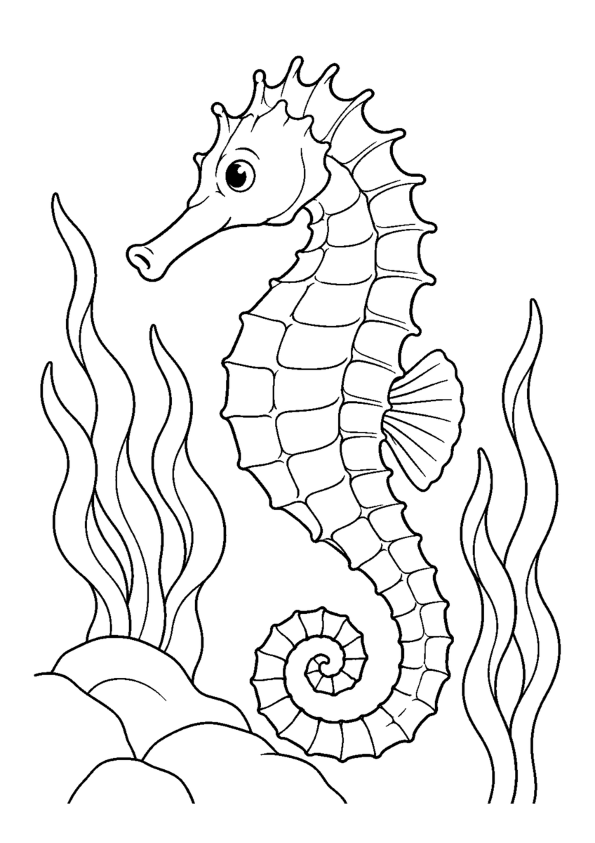 海底のたつのおとしごを大きく描いた高齢者向けの白黒塗り絵