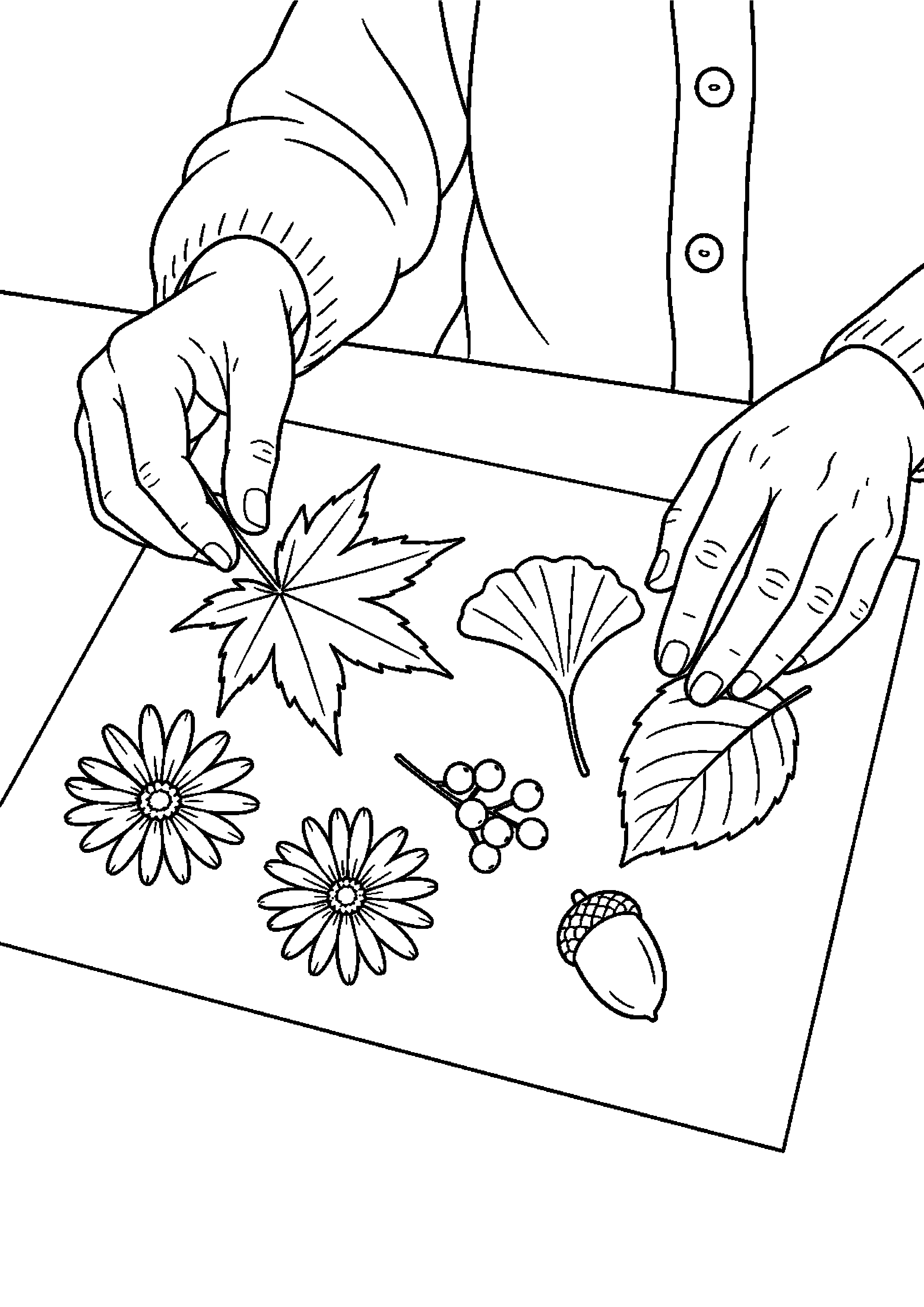 色づいた葉と晩秋の小花を台紙に並べる高齢者向けの白黒塗り絵