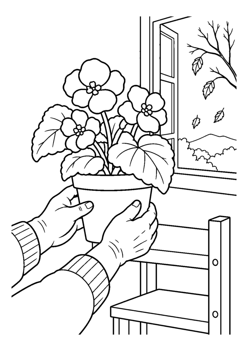 花の残るベゴニア鉢を両手で持ち、開いた窓辺の棚に置く場面。白黒の高齢者向け塗り絵