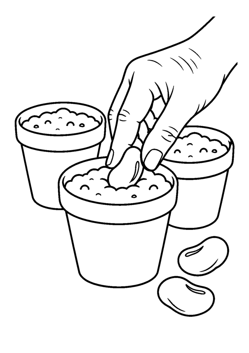 大粒の豆と土入り育苗ポット３個、指で豆を差す手元を大きく描く。白黒の高齢者向け塗り絵