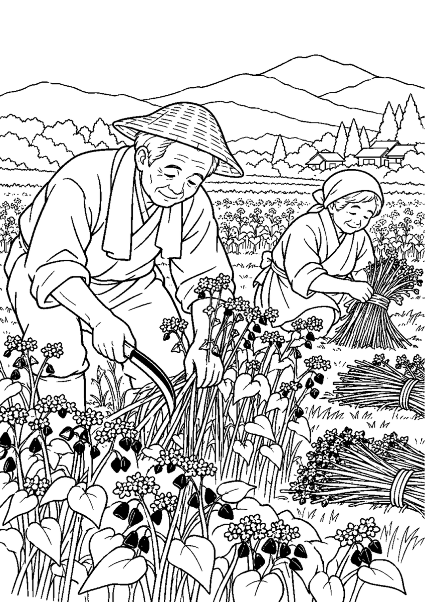 そばの実の刈り取りを10月の場面として描いた高齢者向けの白黒線画塗り絵