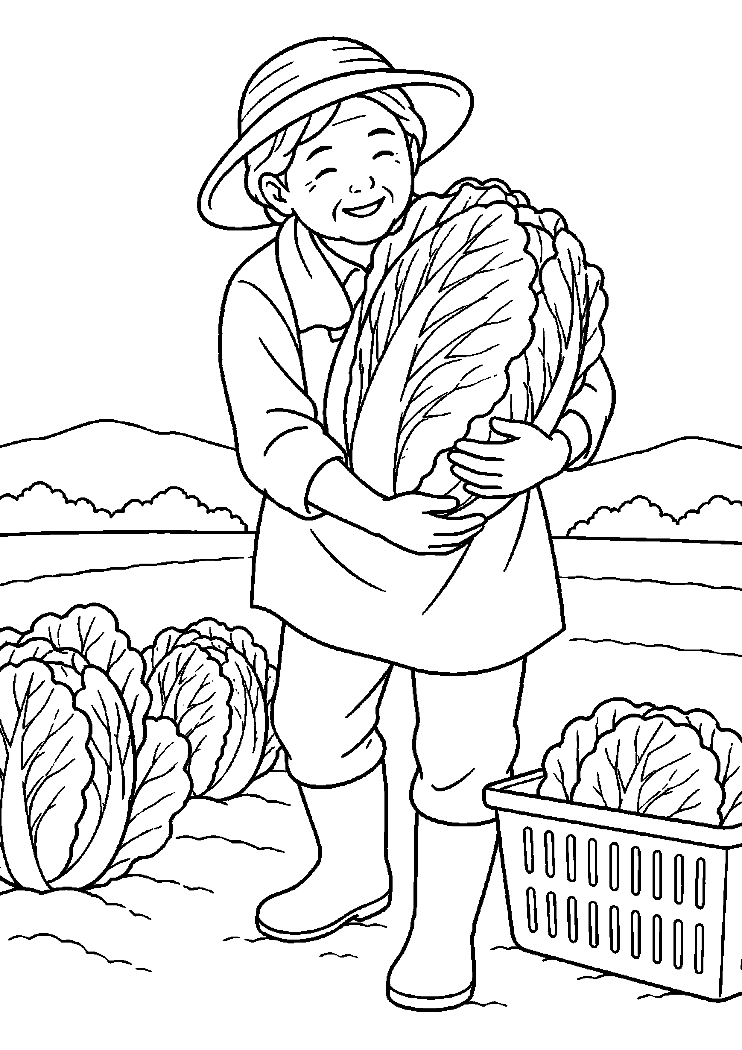 畑で締まった白菜を抱えて収穫する高齢者向けの白黒塗り絵