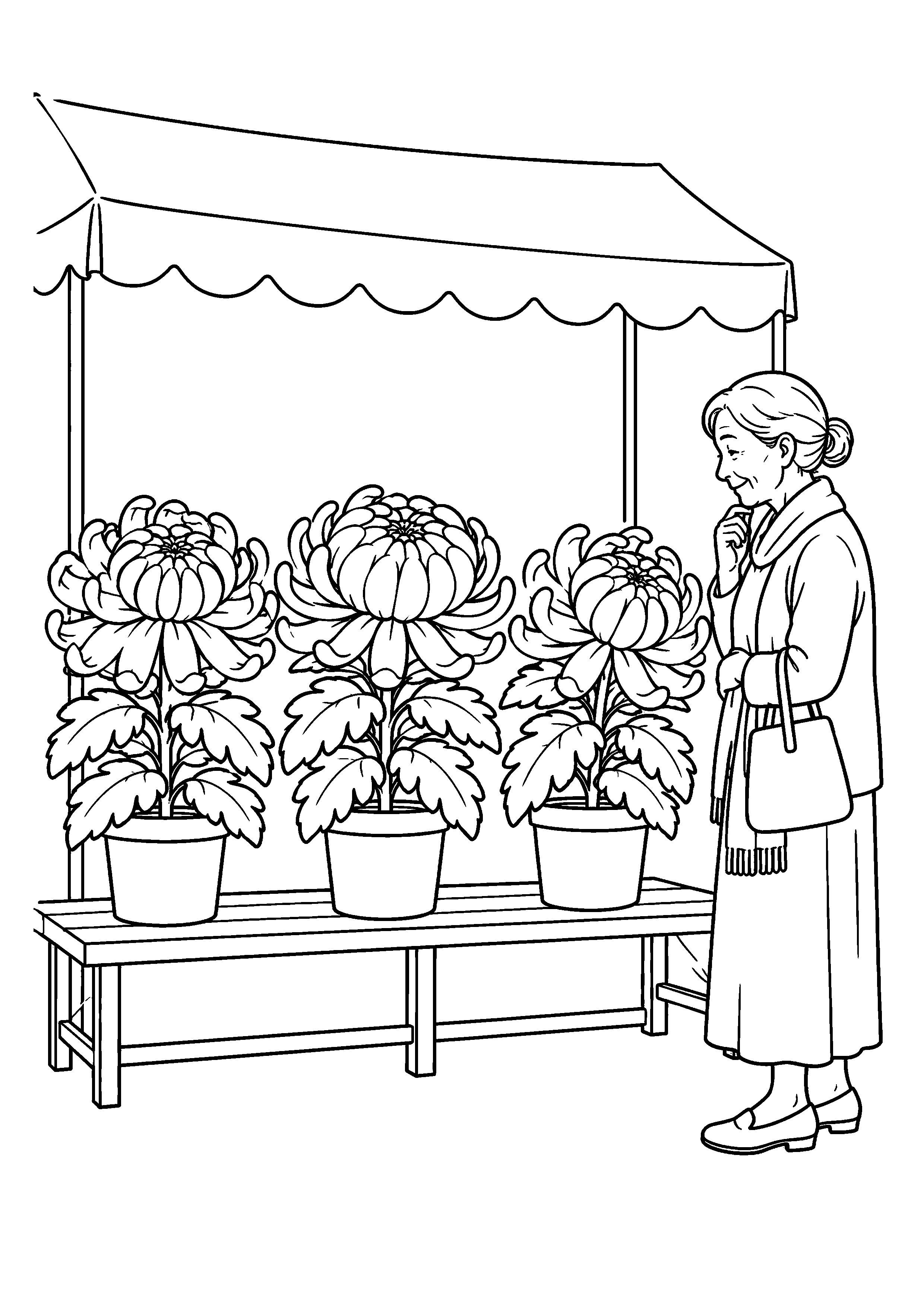 大輪の菊がゆったり並ぶ秋の菊花展を描いた高齢者向けの白黒線画塗り絵