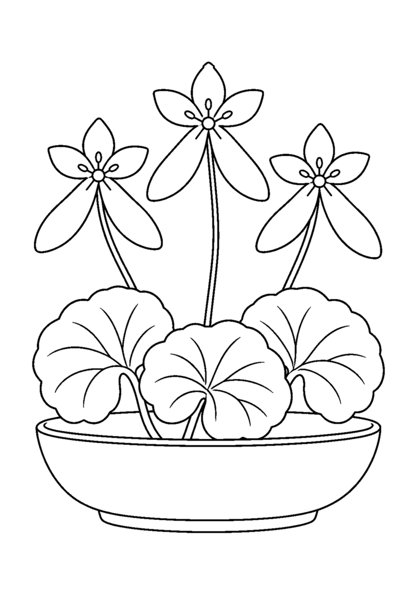 下の二枚の花びらが長い三輪のダイモンジソウと三枚の丸い葉を浅鉢に描いた白黒塗り絵