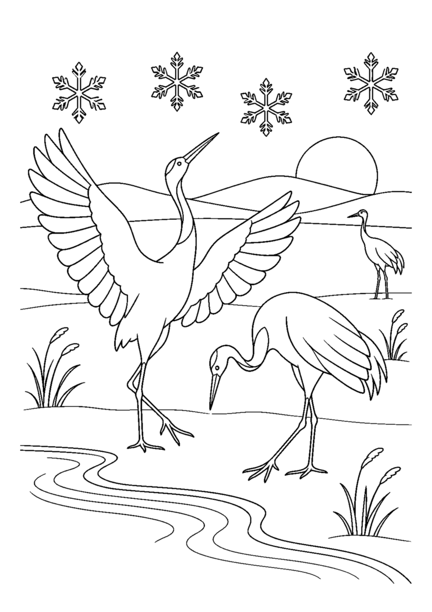 丹頂鶴の雪原を大きく描いた高齢者向けの白黒塗り絵