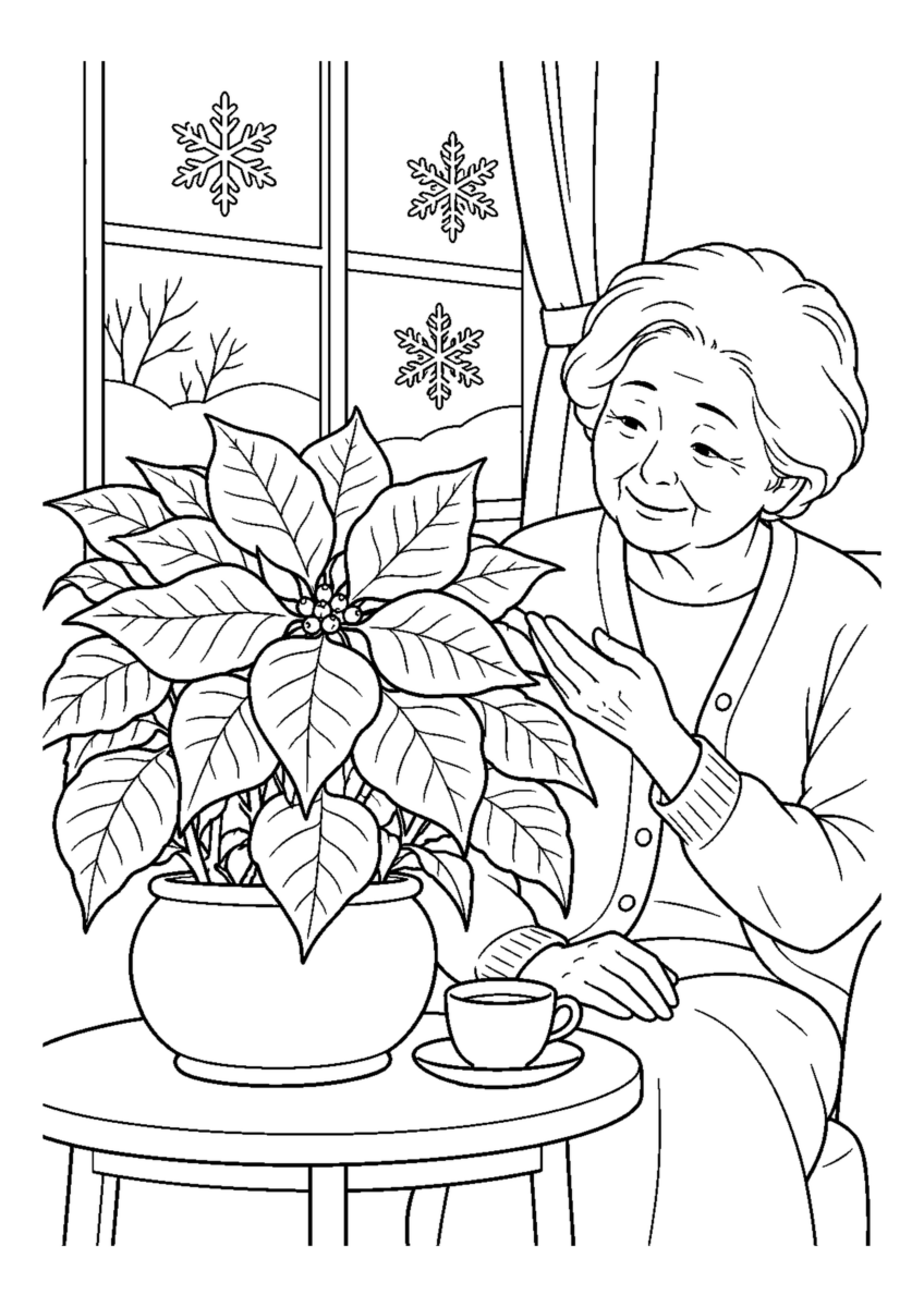 ポインセチアの苞を眺めるを大きく描いた高齢者向けの白黒塗り絵