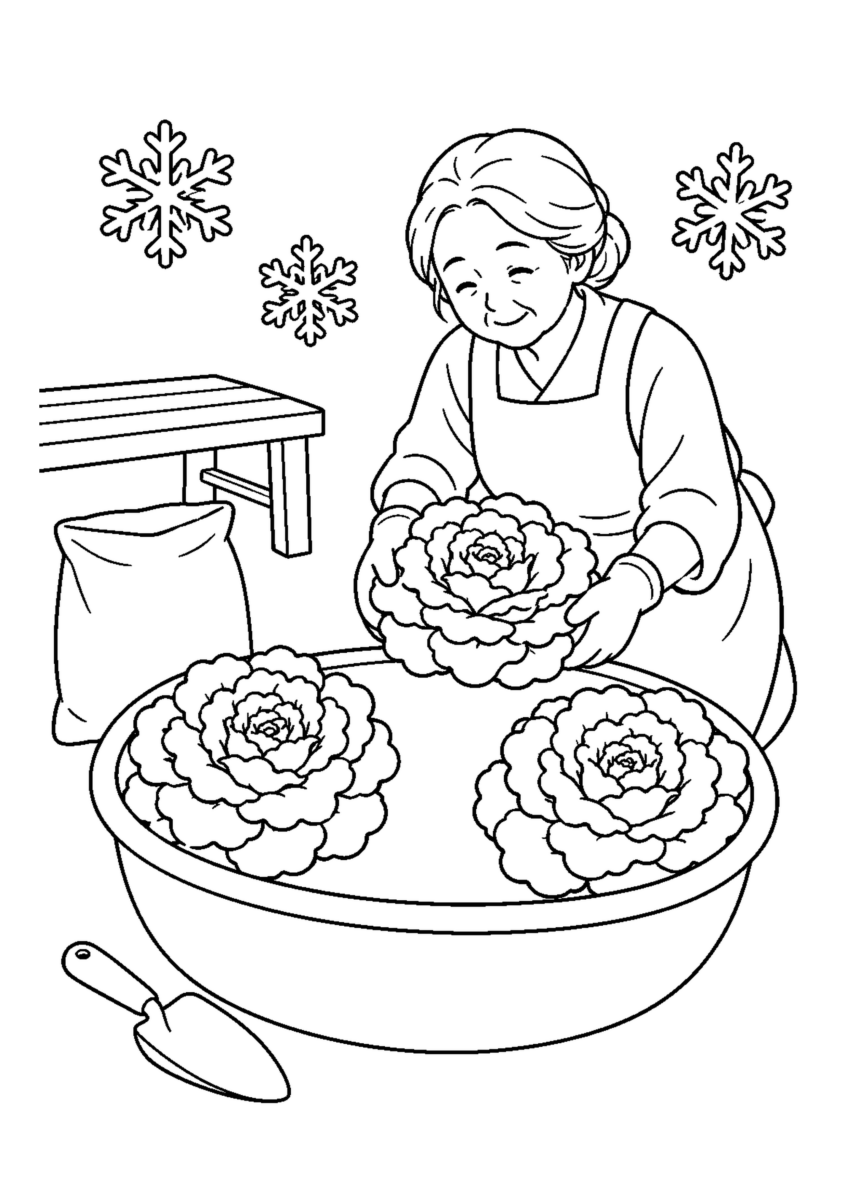 葉牡丹を丸鉢に植えるを大きく描いた高齢者向けの白黒塗り絵