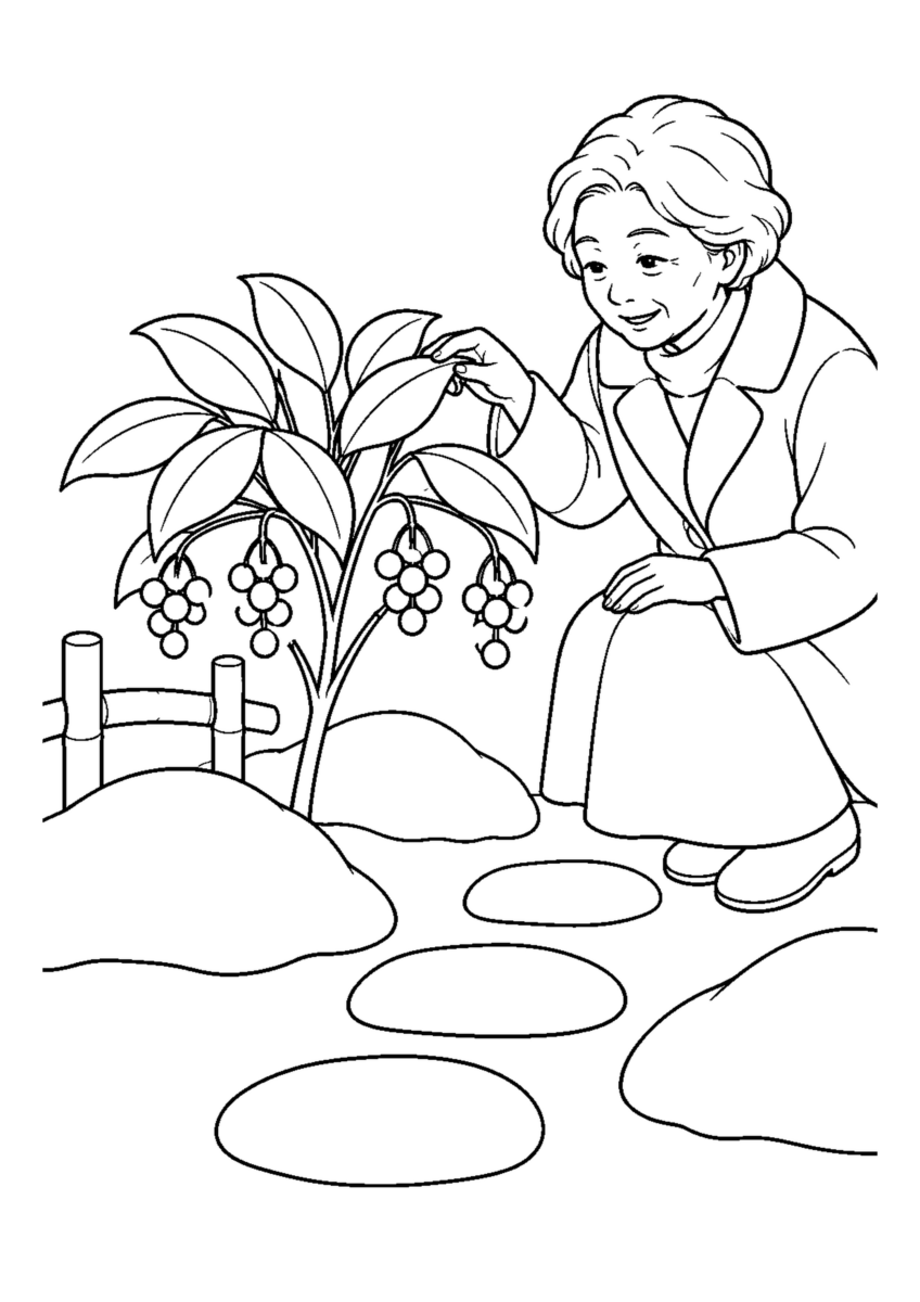 万両の実る庭を大きく描いた高齢者向けの白黒塗り絵