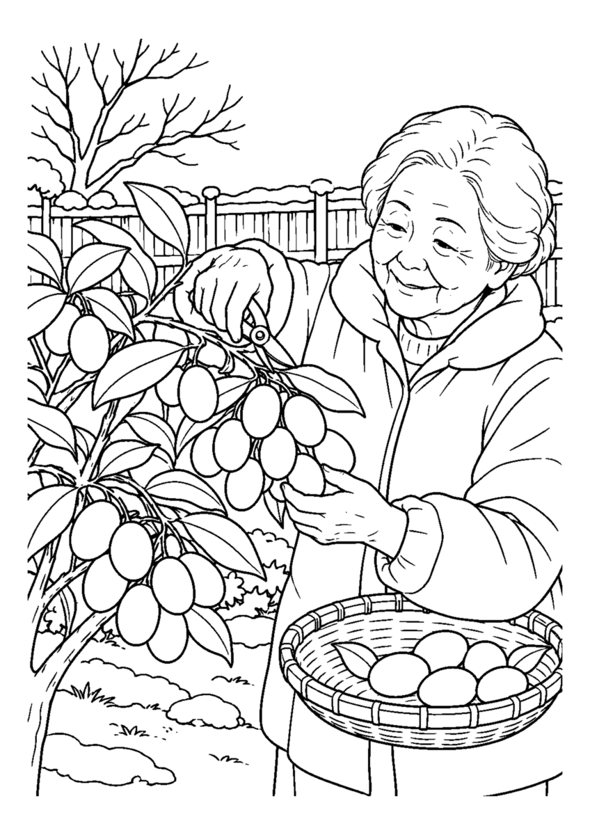 金柑を収穫する枝を大きく描いた高齢者向けの白黒塗り絵