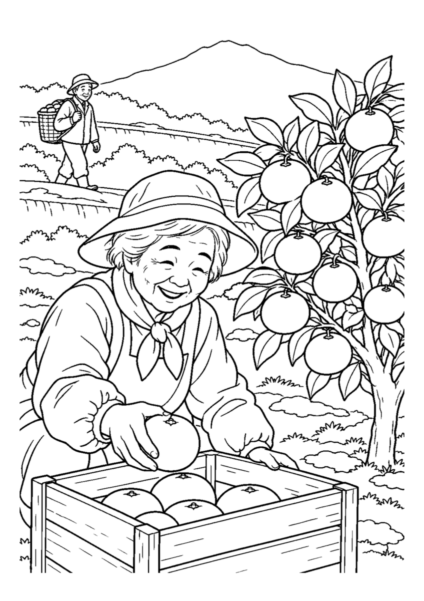 みかん畑の収穫を大きく描いた高齢者向けの白黒塗り絵