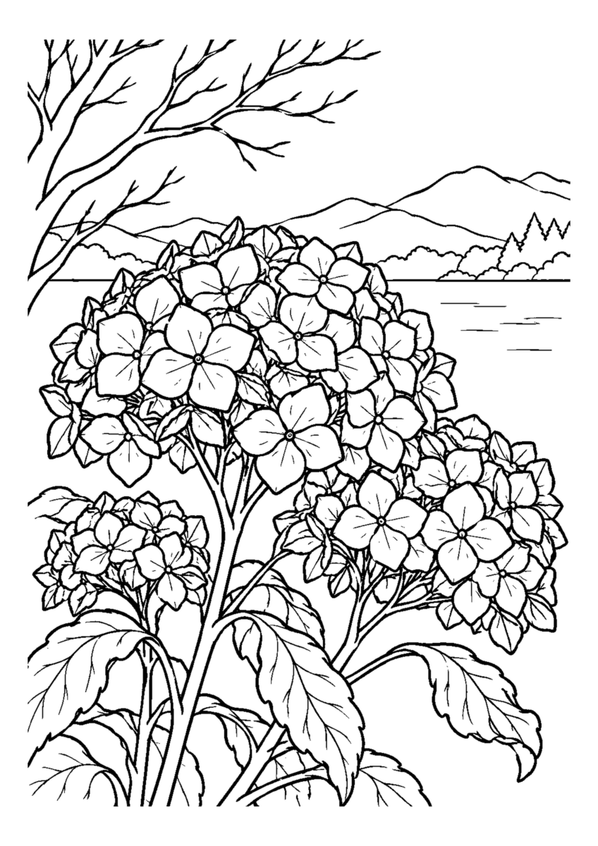 冬枯れのあじさい。主役の植物、動物、建物または地形を大きく描き、初冬の空気を感じる静かな風景。白黒の高齢者向け塗り絵