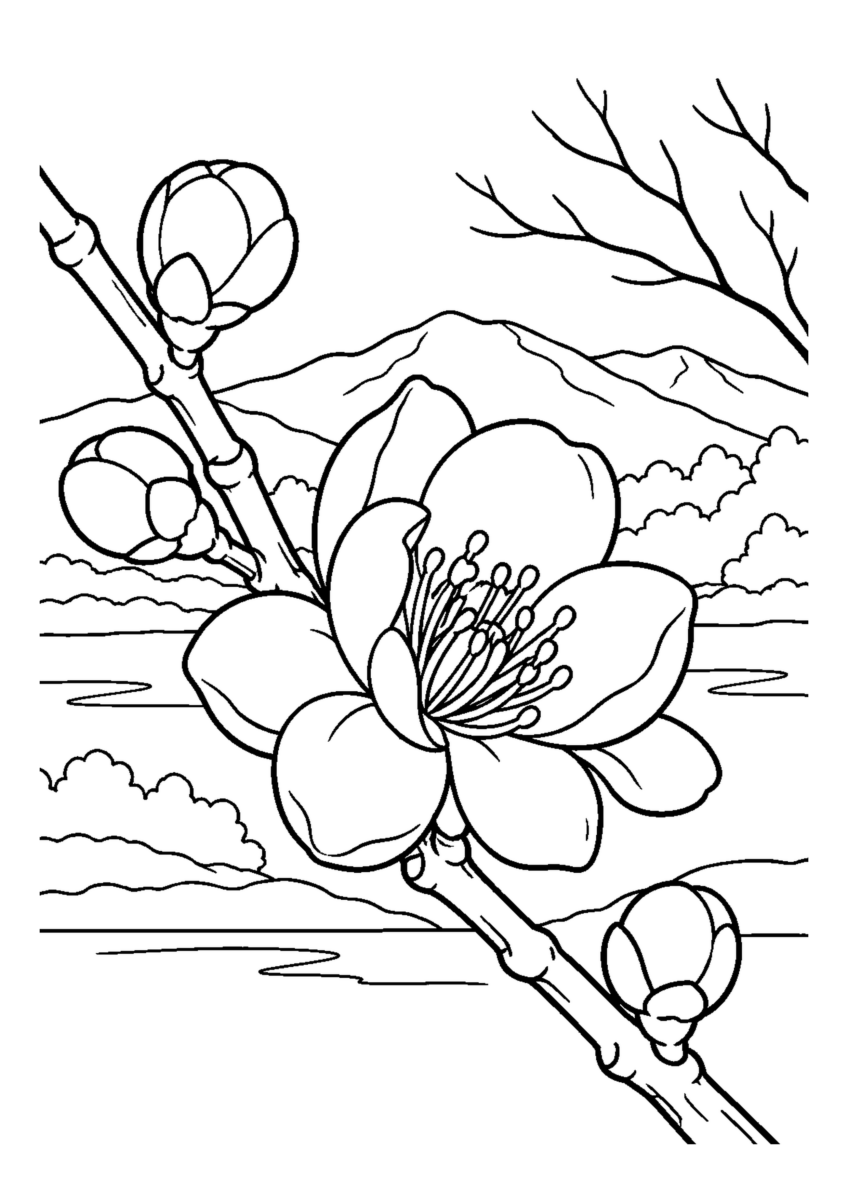 蝋梅の一輪。主役の植物、動物、建物または地形を大きく描き、初冬の空気を感じる静かな風景。白黒の高齢者向け塗り絵