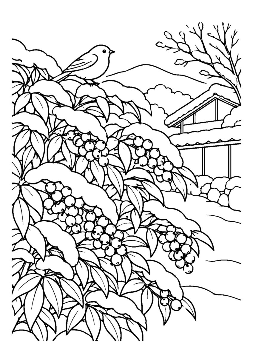 雪の南天垣。主役の植物、動物、建物または地形を大きく描き、初冬の空気を感じる静かな風景。白黒の高齢者向け塗り絵