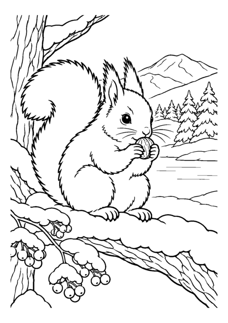 雪のニホンリス。主役の植物、動物、建物または地形を大きく描き、初冬の空気を感じる静かな風景。白黒の高齢者向け塗り絵