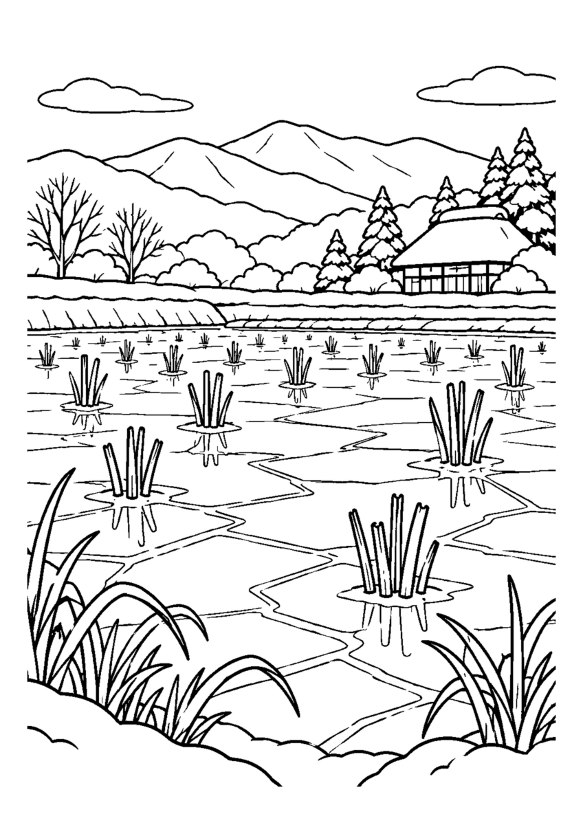 薄氷の水田。主役の植物、動物、建物または地形を大きく描き、初冬の空気を感じる静かな風景。白黒の高齢者向け塗り絵