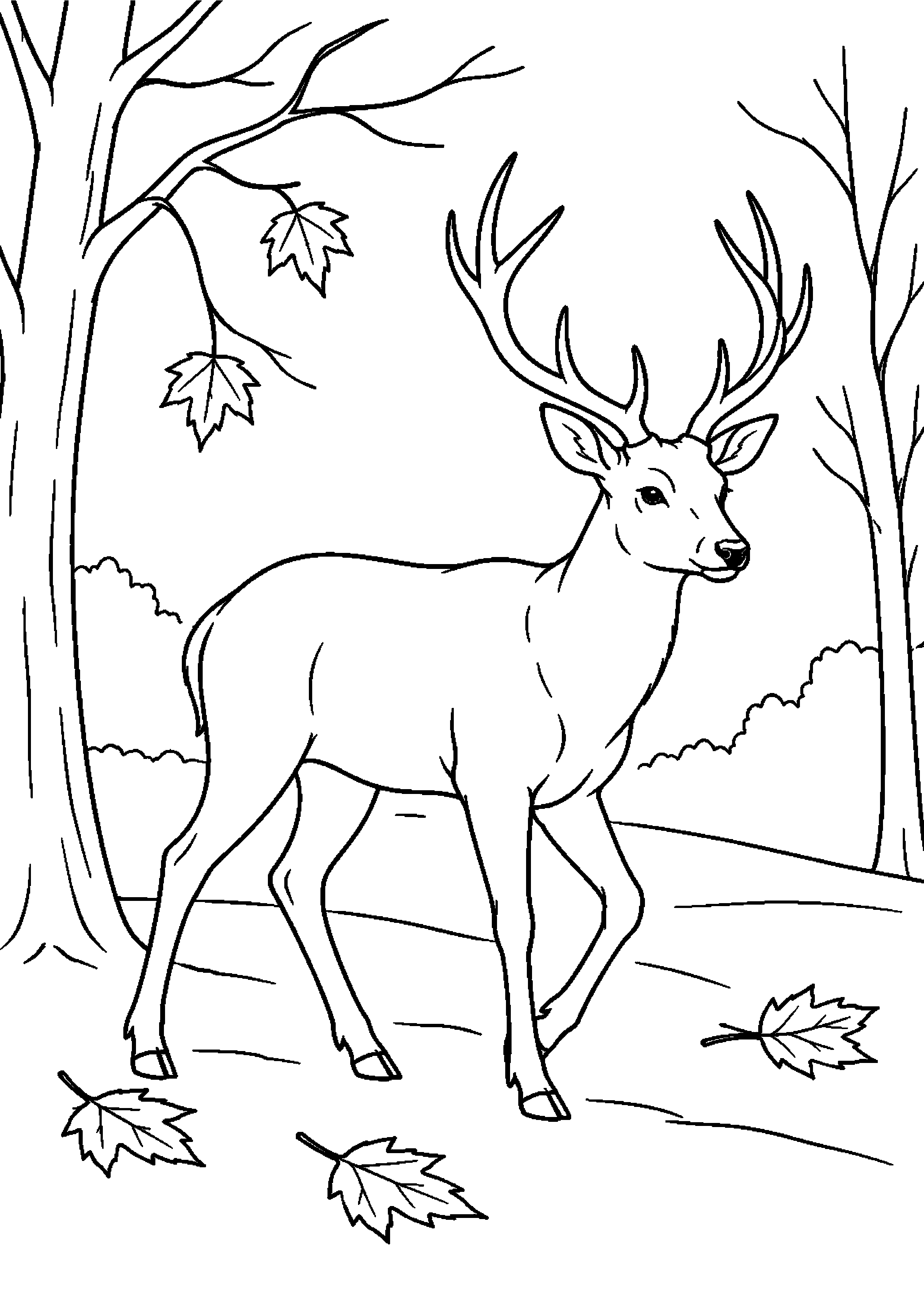 【11月】落ち葉を歩く鹿の塗り絵