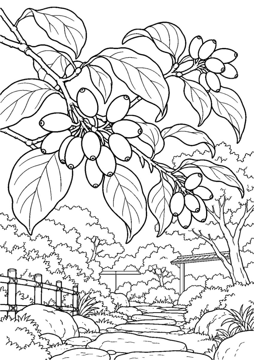ハナミズキの赤い実を10月の場面として描いた高齢者向けの白黒線画塗り絵