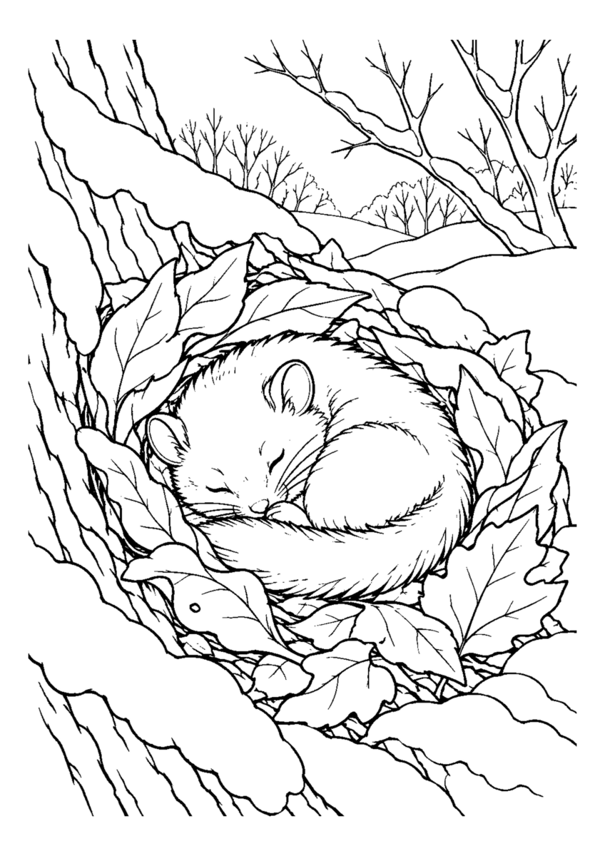 落ち葉の巣で丸くなるヤマネ1匹。白黒の高齢者向け塗り絵