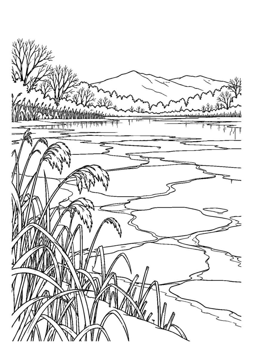 【12月】凍り始めた池の塗り絵