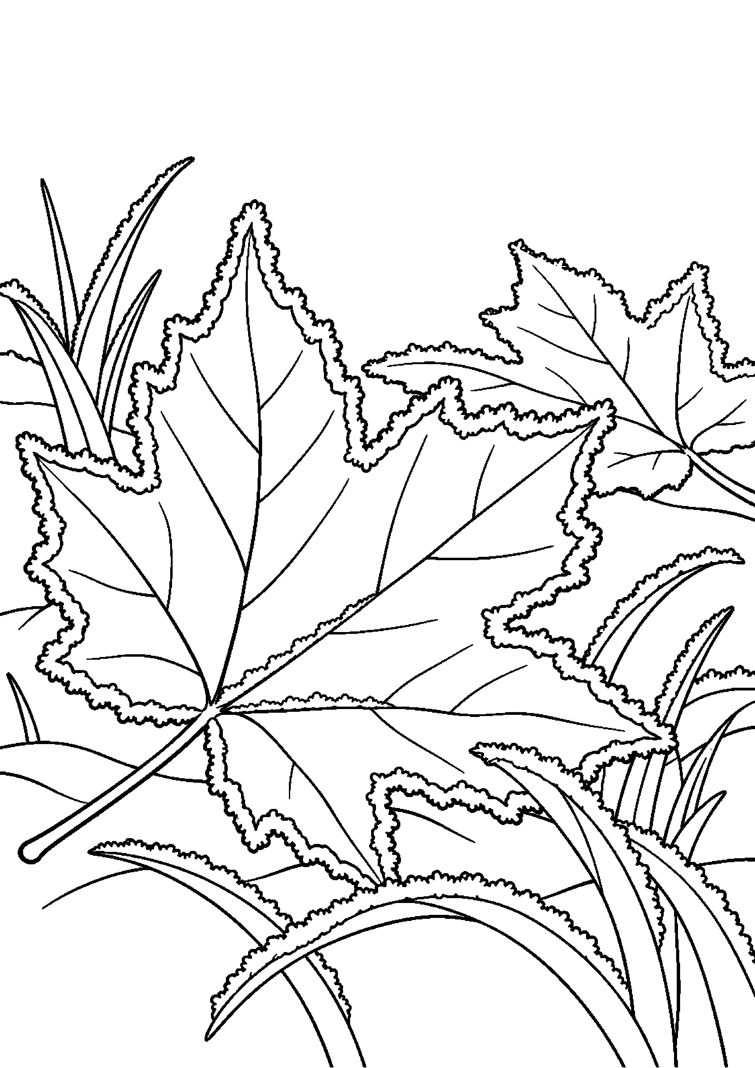 【11月】霜の降りた落ち葉の塗り絵