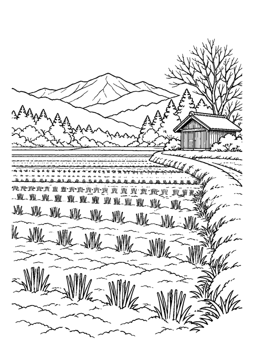 刈り跡の田んぼ一面に白い霜、畦道と小屋。白黒の高齢者向け塗り絵