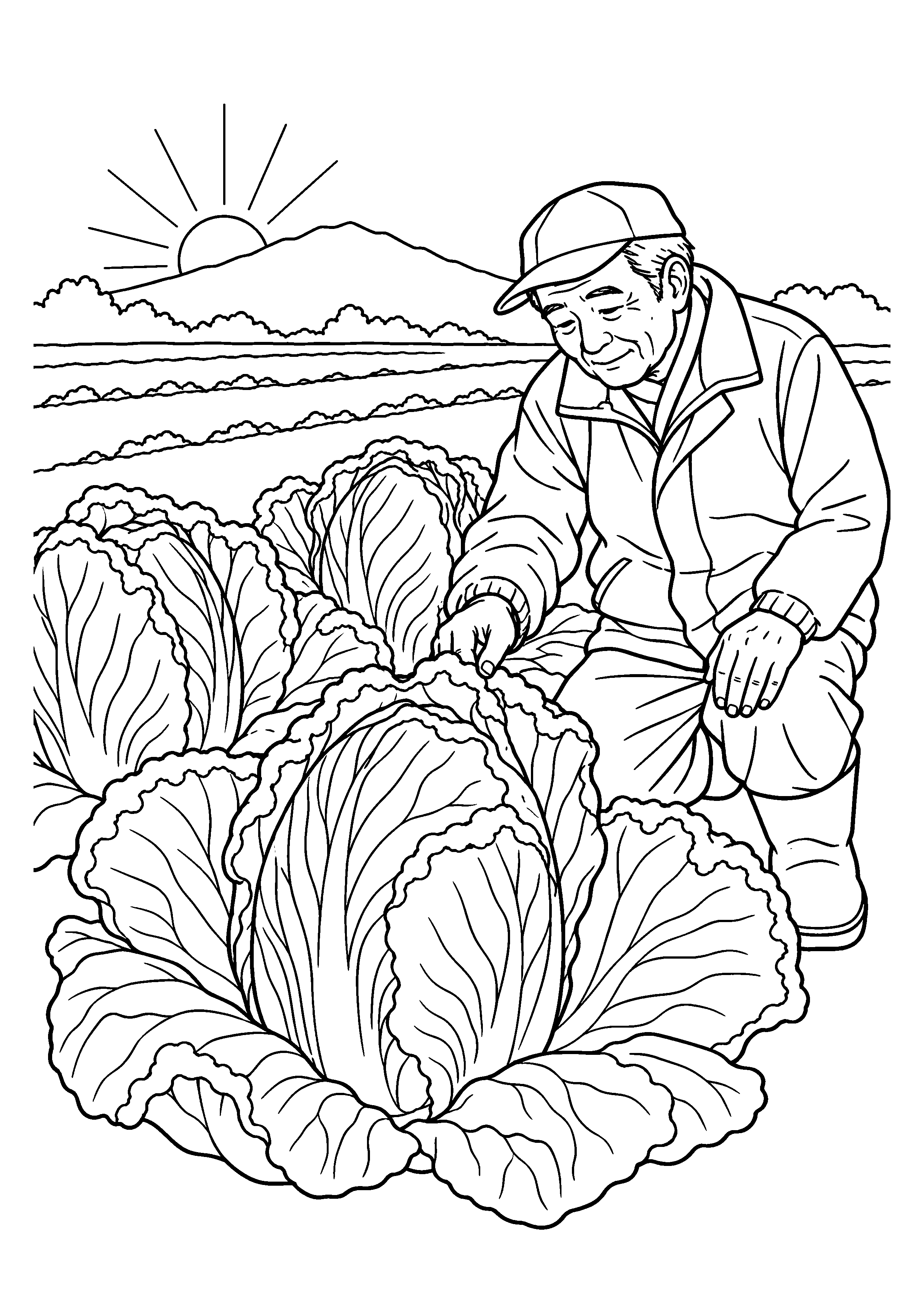 【11月】霜と白菜畑の塗り絵