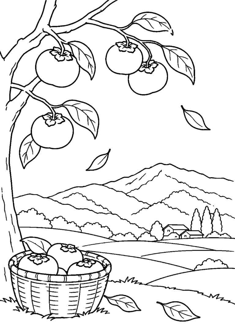 橙色の実がなる柿畑と落葉し始めた山高齢者向けの白黒塗り絵