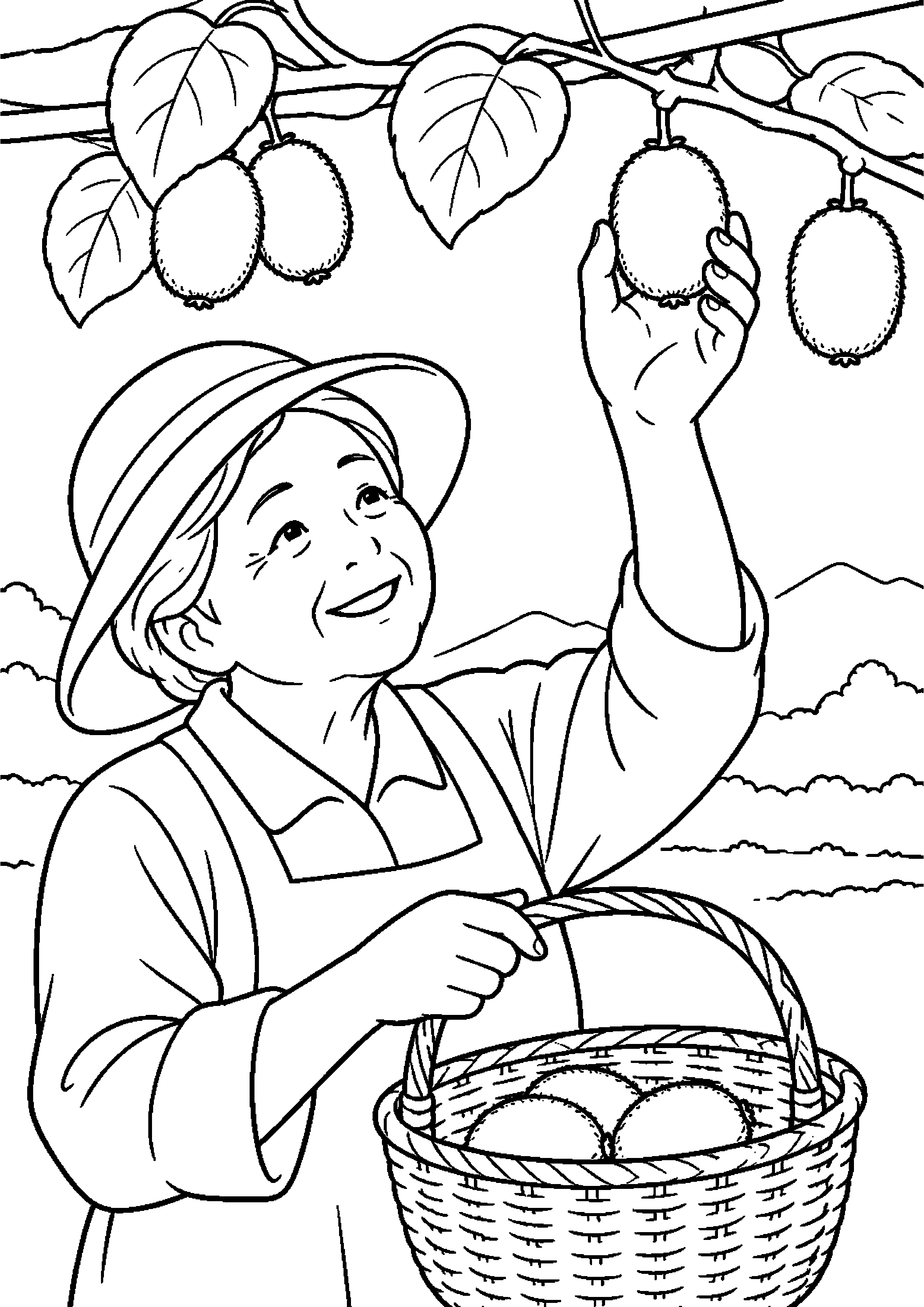 棚に実ったキウイをかごへ収穫する高齢者向けの白黒塗り絵