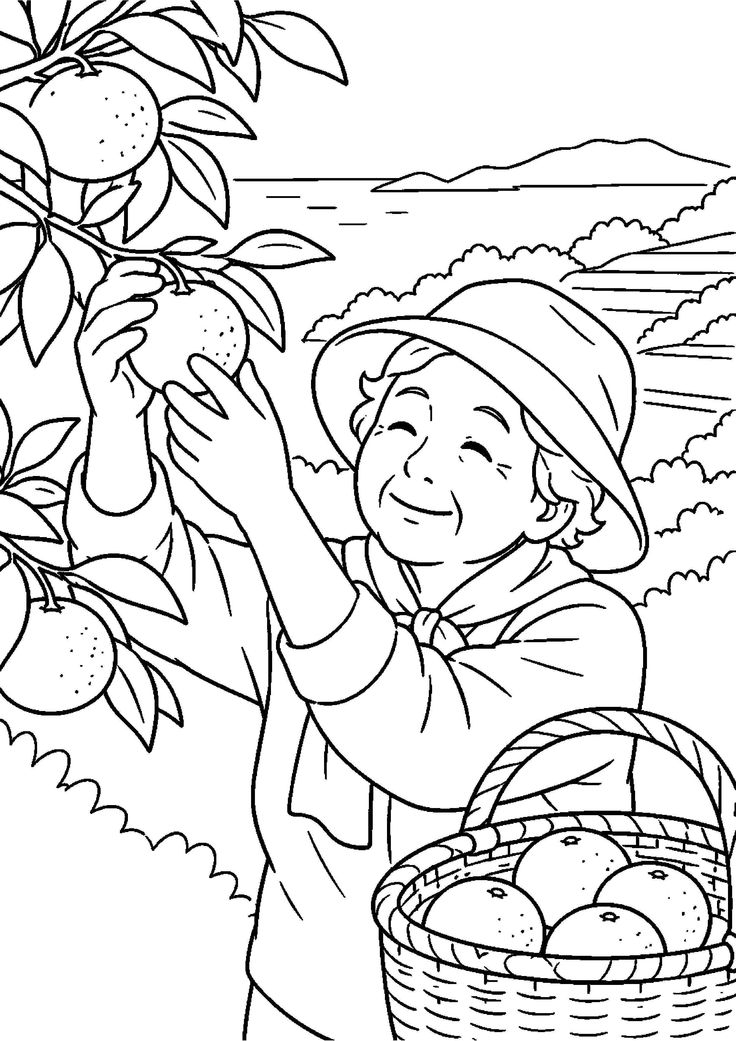 段々畑でみかんを摘みかごへ入れる高齢者向けの白黒塗り絵