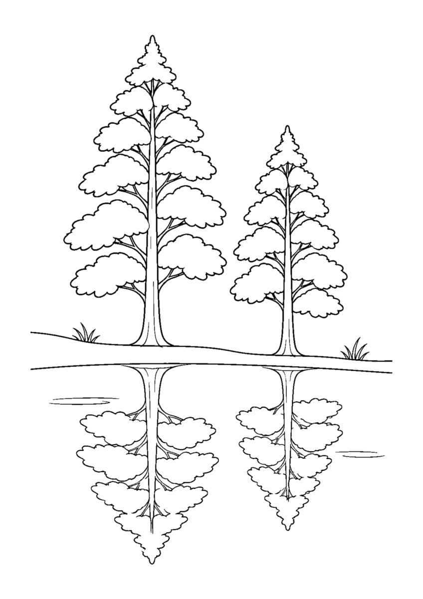 水辺に立つ大小二本のメタセコイアと水面に映る姿を、大きな枝葉のまとまりで描いた白黒塗り絵
