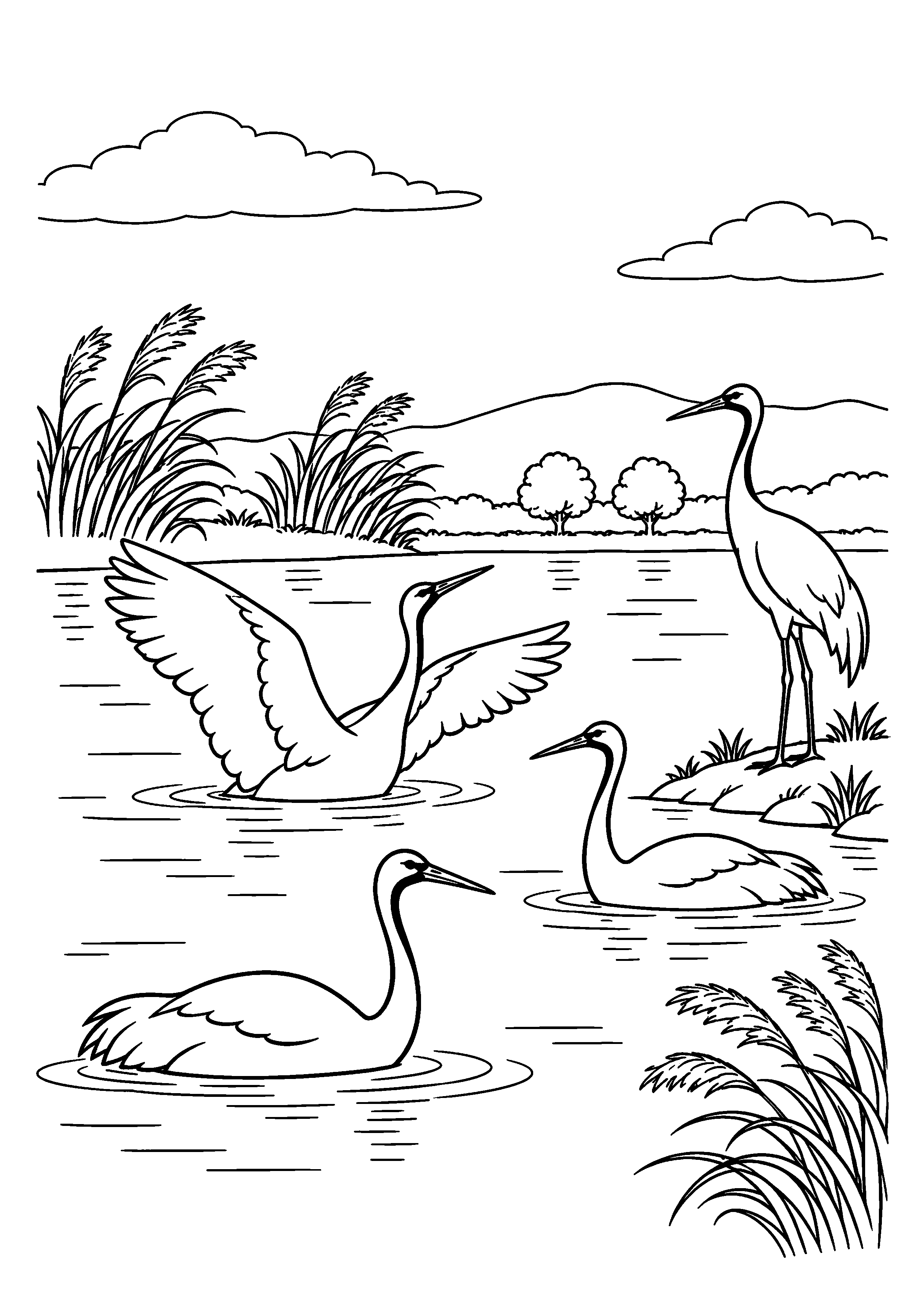 【11月】渡り鳥の池の塗り絵