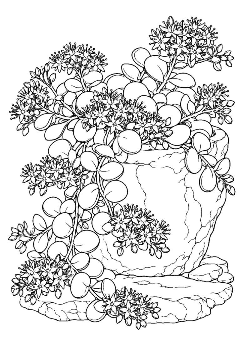ミセバヤの花を10月の場面として描いた高齢者向けの白黒線画塗り絵