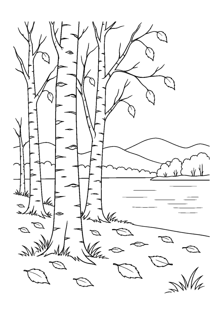 【自然風景】白樺林の落葉の塗り絵