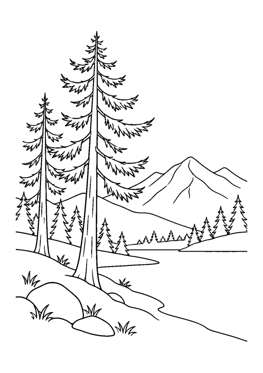 【自然風景】落葉松林の塗り絵