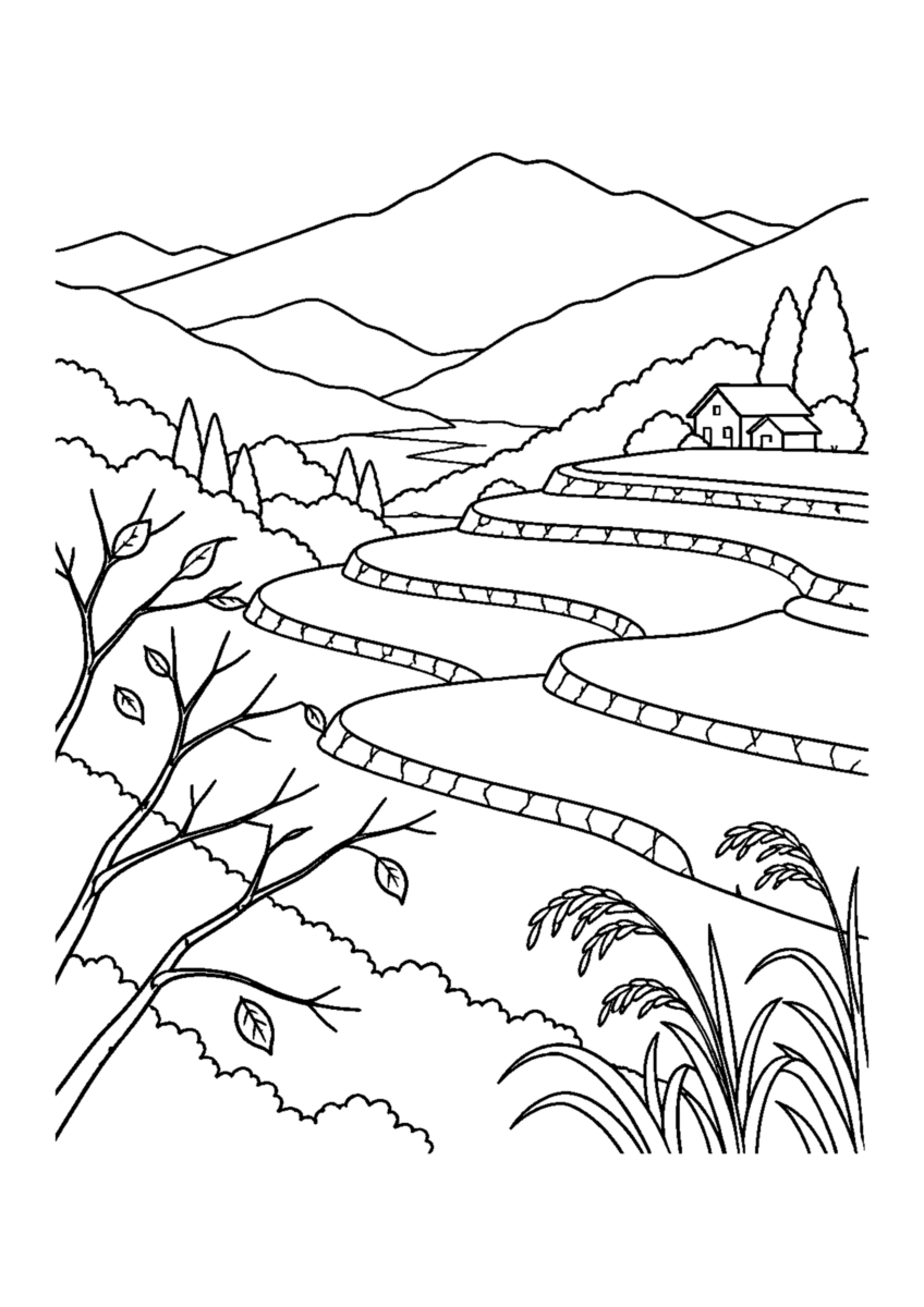 【自然風景】山里の段々畑の塗り絵