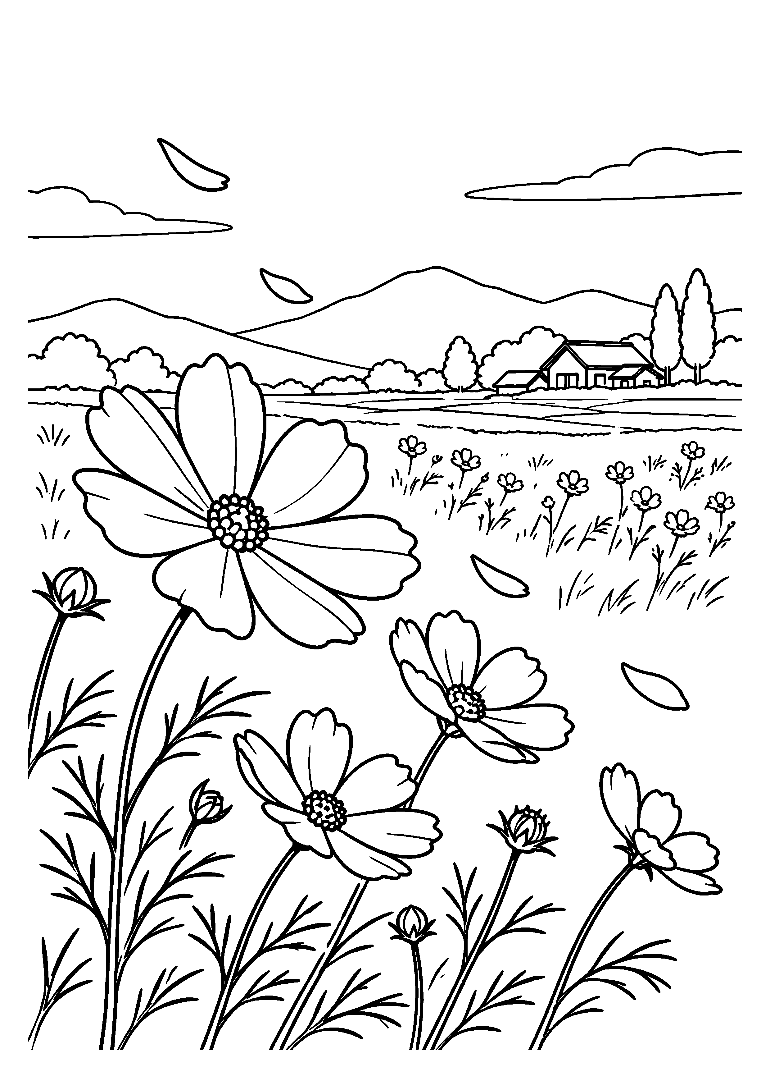 晩秋の風に揺れる少し花数の減った秋桜畑と、遠くの小さな農家を描いた高齢者向け11月の白黒塗り絵